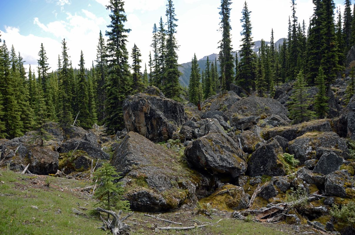 28 Valley Of the Rocks On Hike To Mount Assiniboine